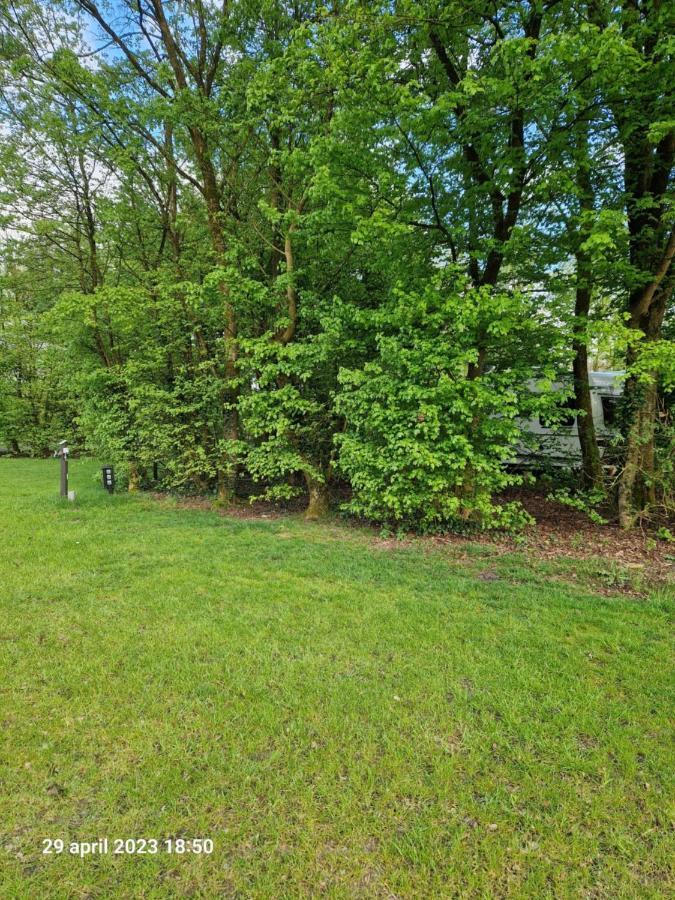 Camping Alkenhaer Appelscha Lege Kampeerplaats 外观 照片